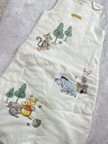 Cute Winnie sleeping Bag