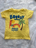 Boys T shirt