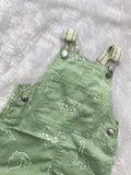Dino Printed Cute Dungaree
