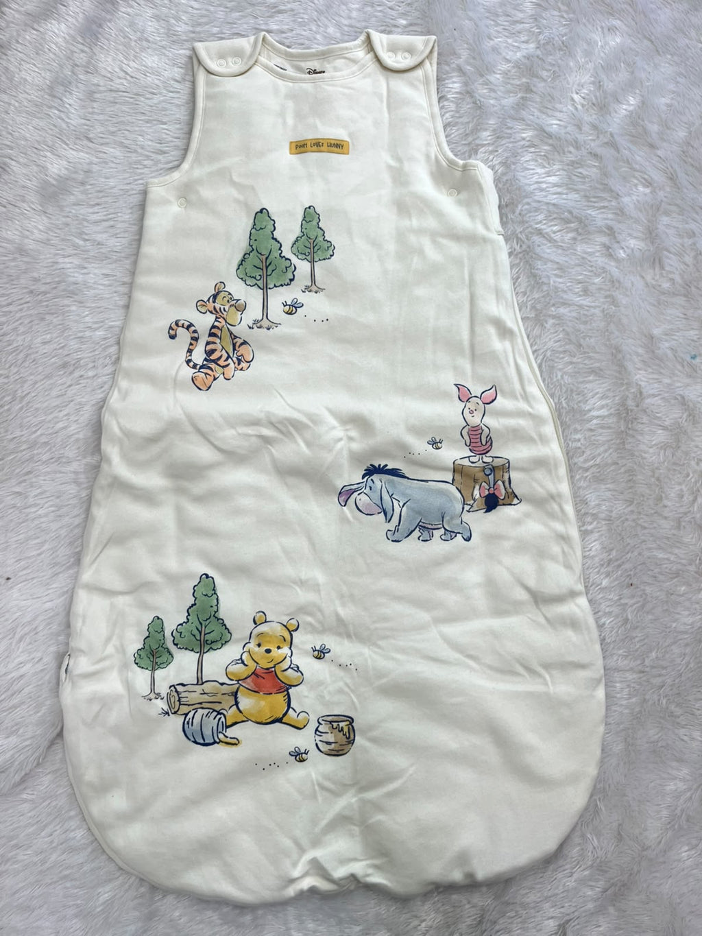 Cute Winnie sleeping Bag