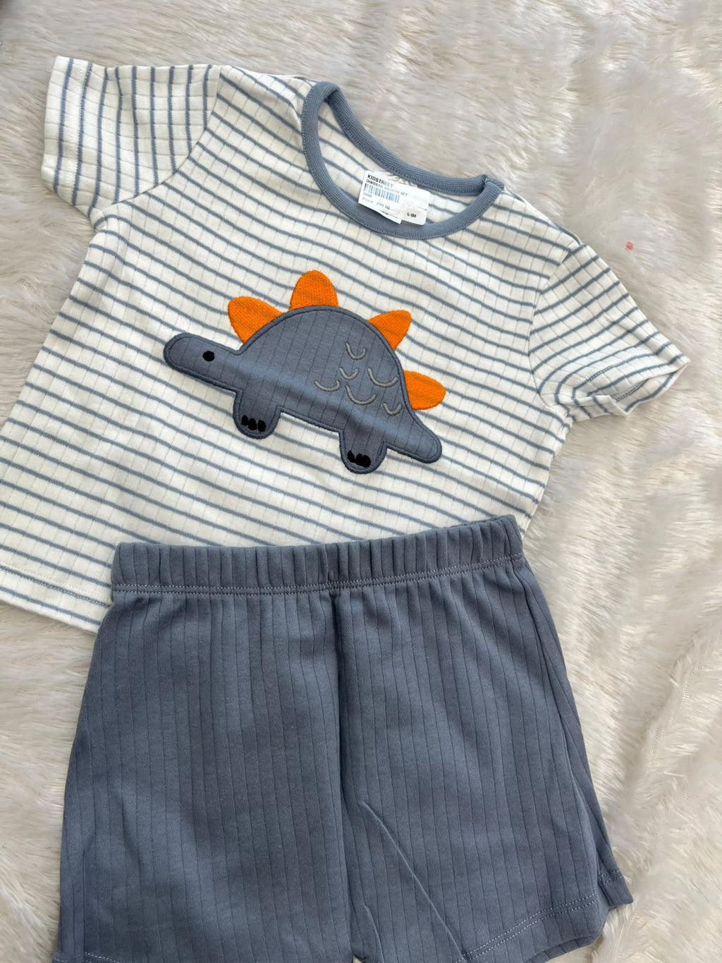 Blue Dino set