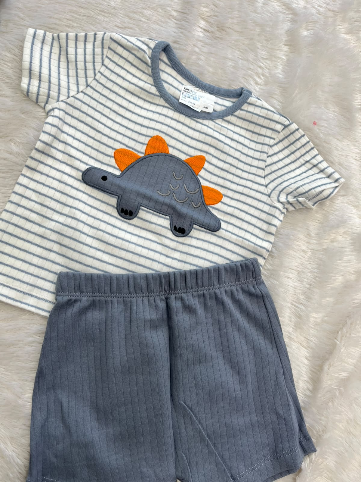 Blue Dino set