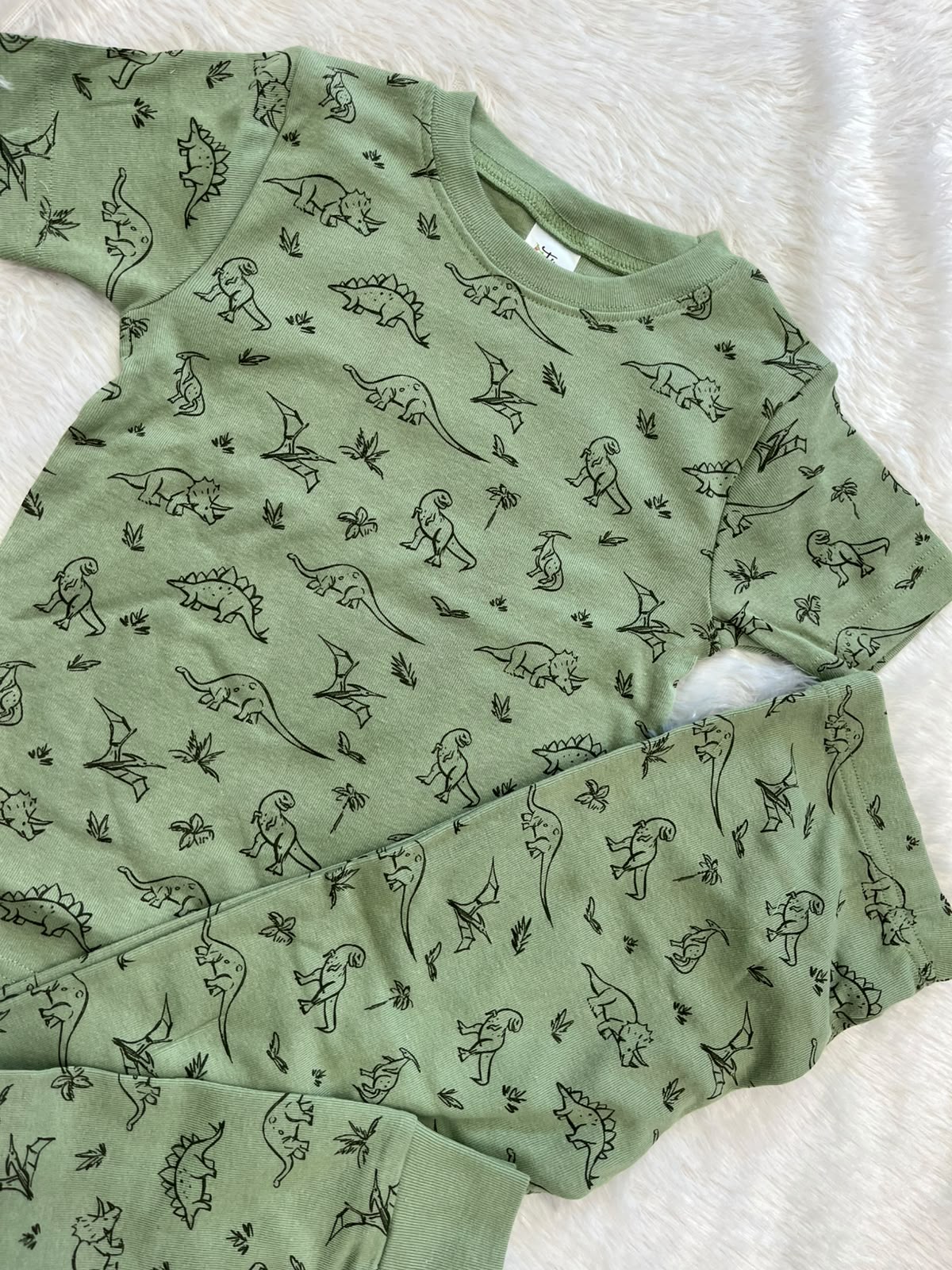 Green Dino co ords