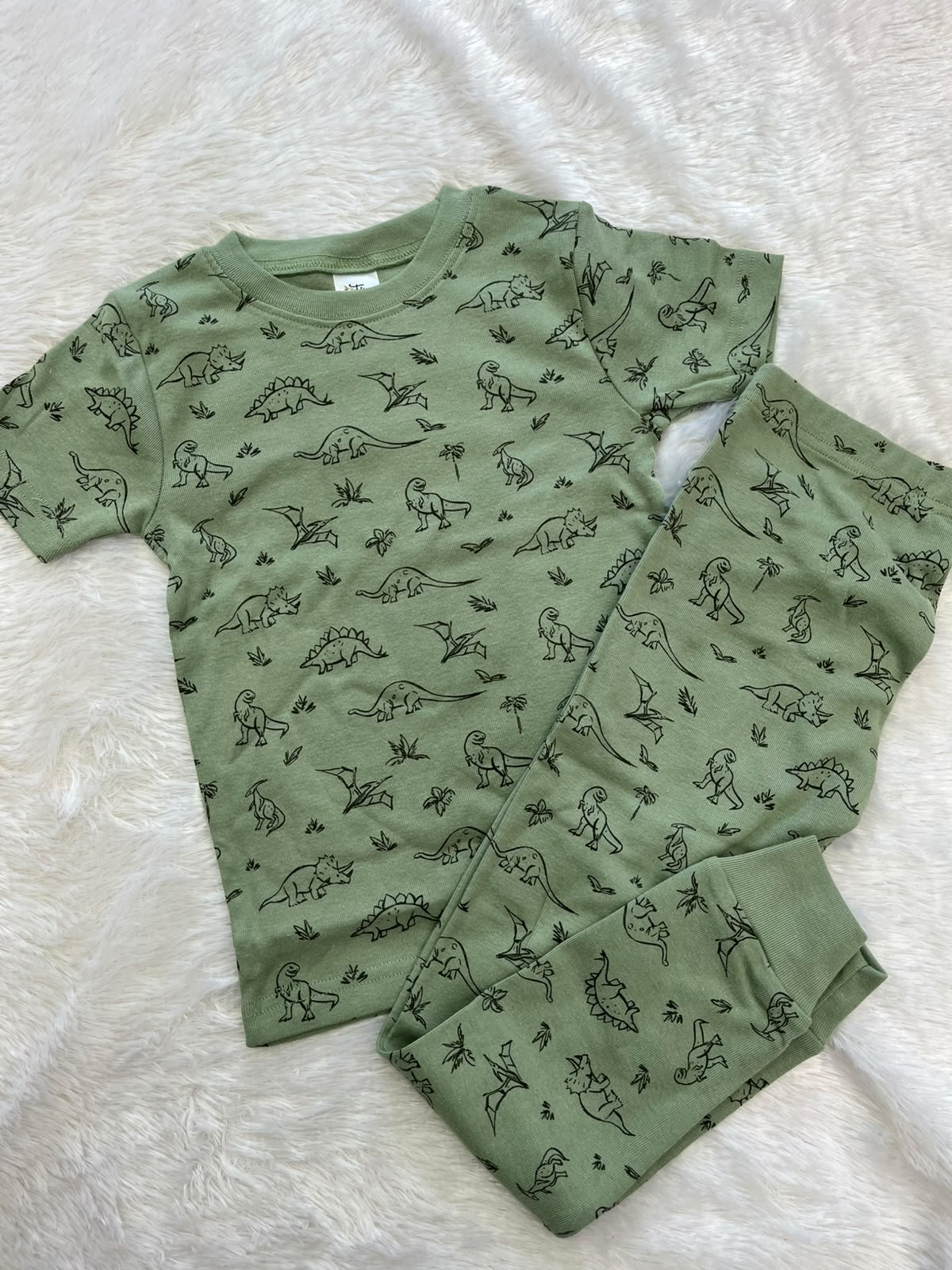 Green Dino co ords